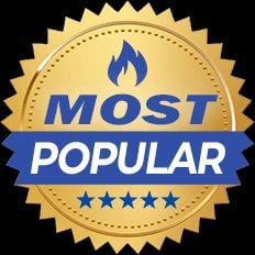 gold badge - most popular